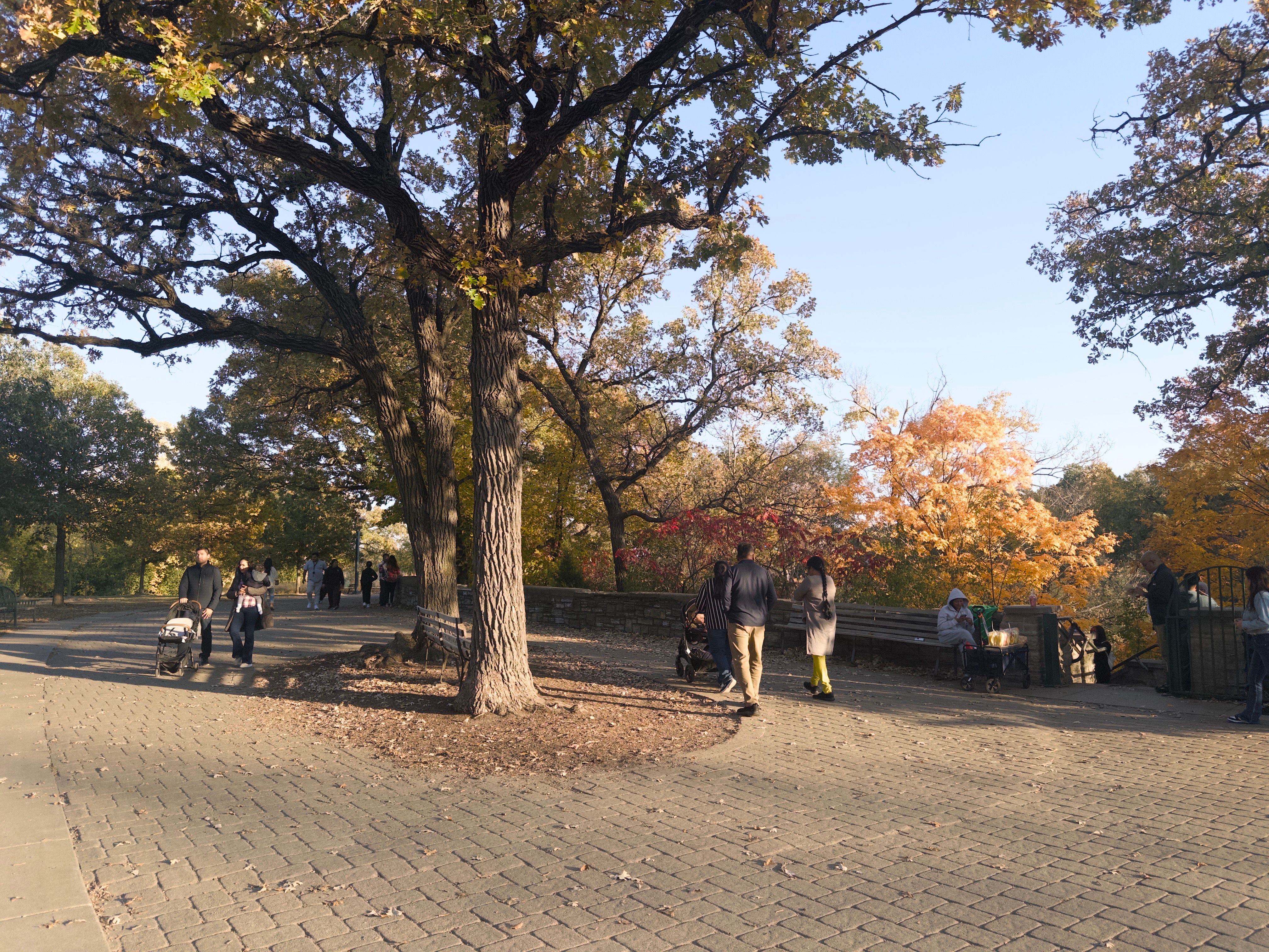 The plaza of the park. People are walking around.