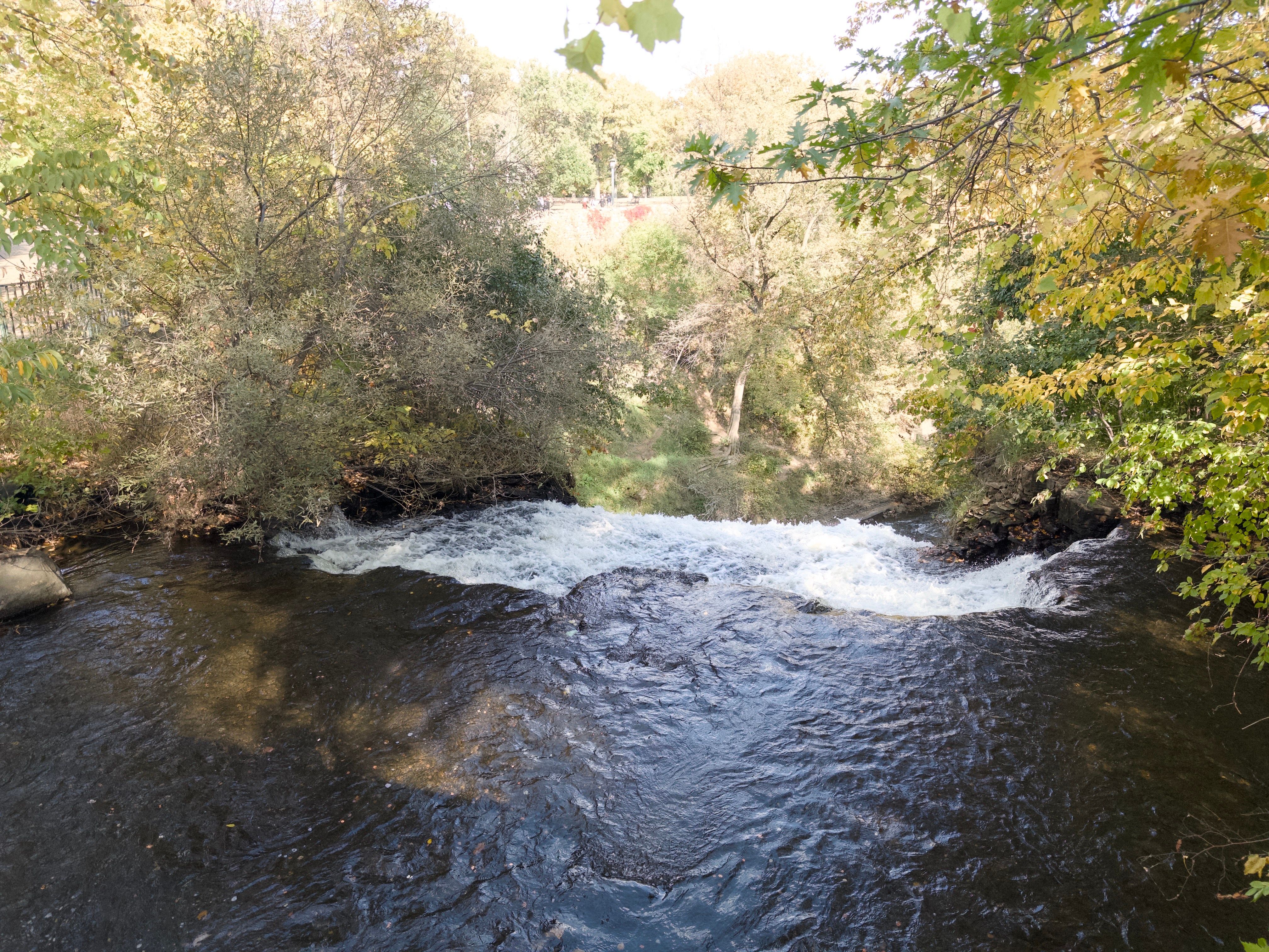 Minnehaha Falls from the top. You can’t see the falls.